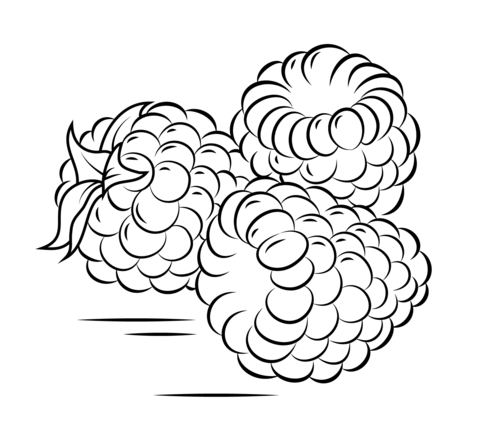 Three Raspberries Coloring Page